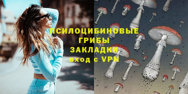 соль ск Аркадак