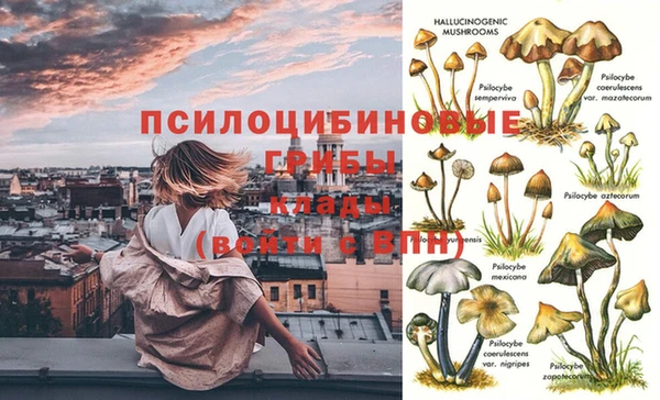 соль ск Аркадак