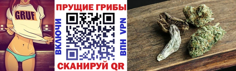 Галлюциногенные грибы мухоморы  где можно купить наркотик  Баймак 